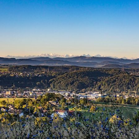Ferienwohnung Im Alpenblick Steinen  Exteriör bild