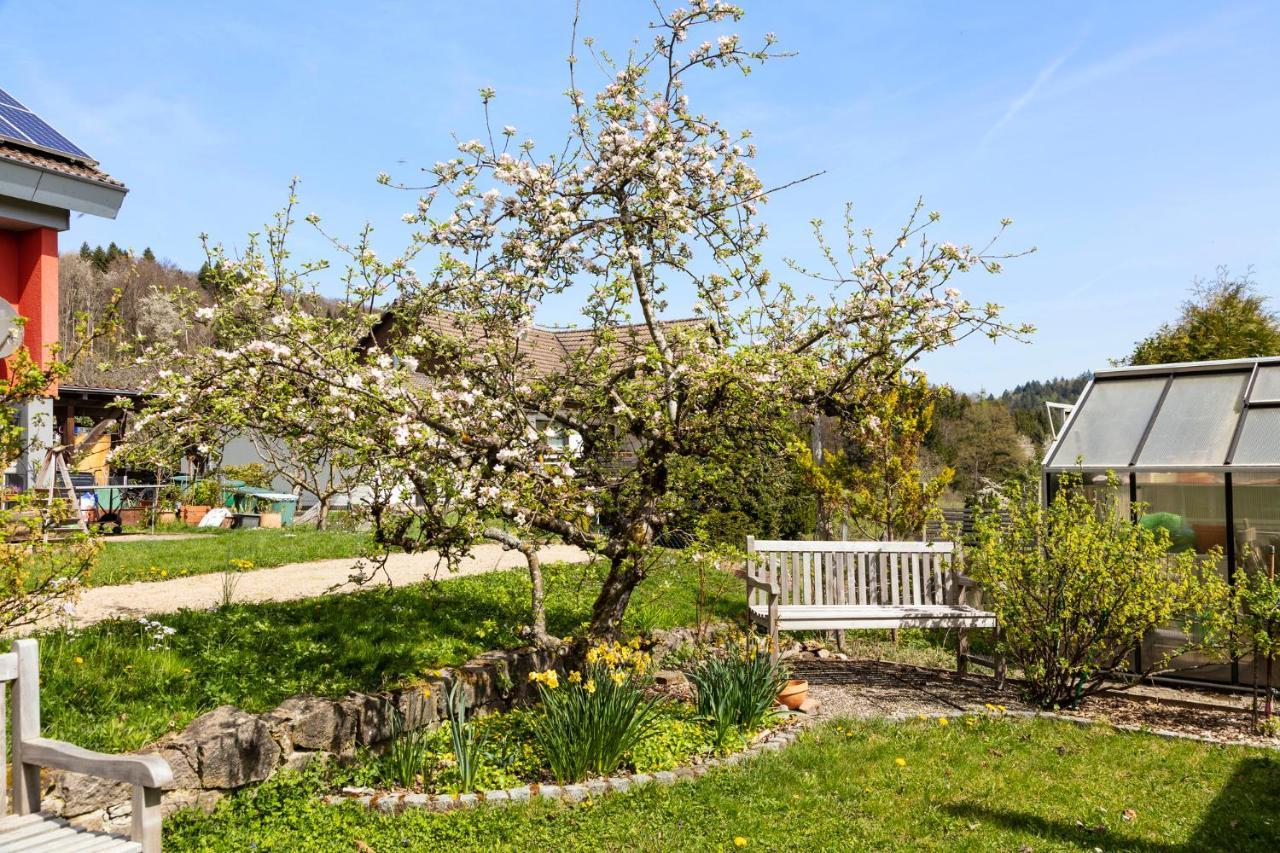 Ferienwohnung Im Alpenblick Steinen  Exteriör bild