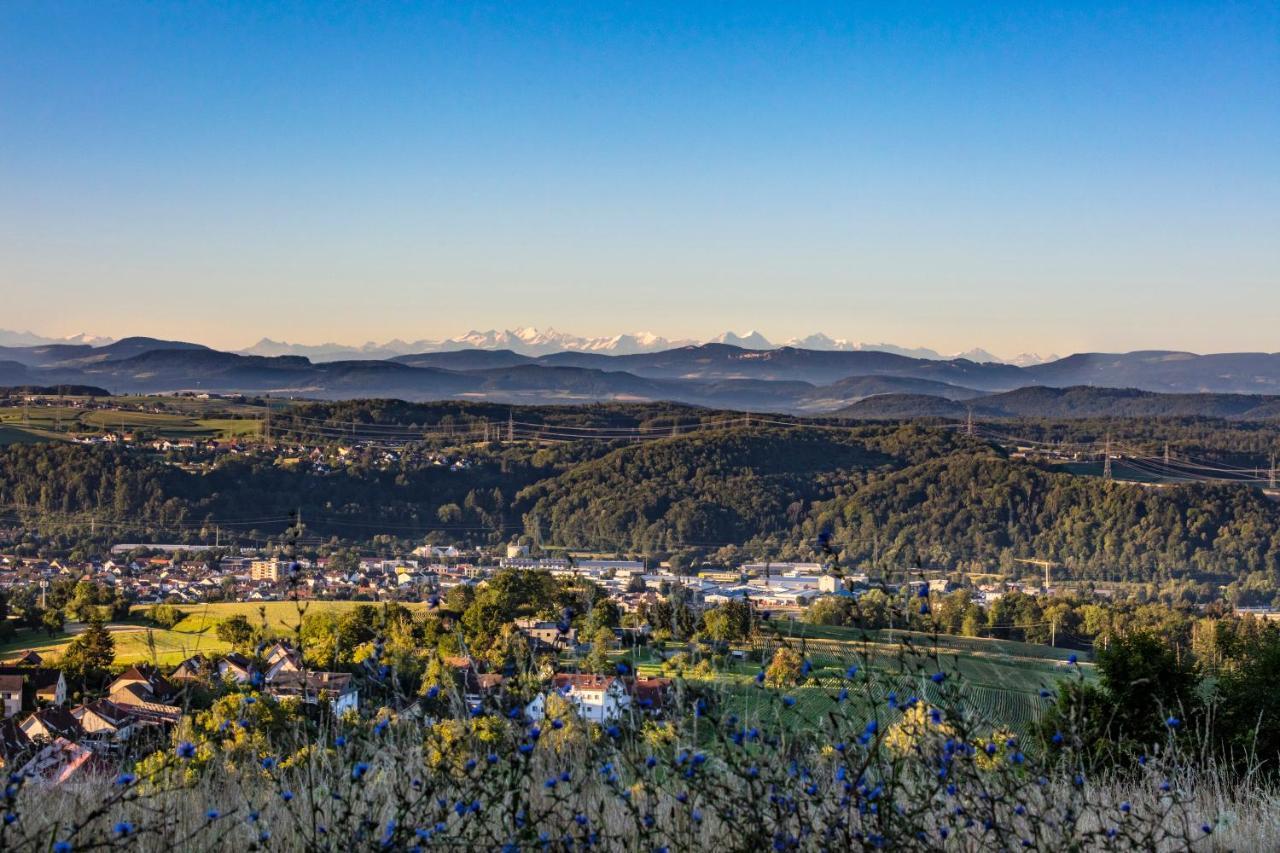 Ferienwohnung Im Alpenblick Steinen  Exteriör bild